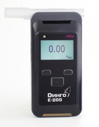 dingo_e-200vnutr